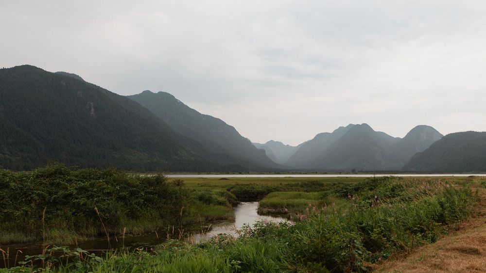 Scenic landscape of misty mountains reflected over a calm river surrounded by lush greenery.