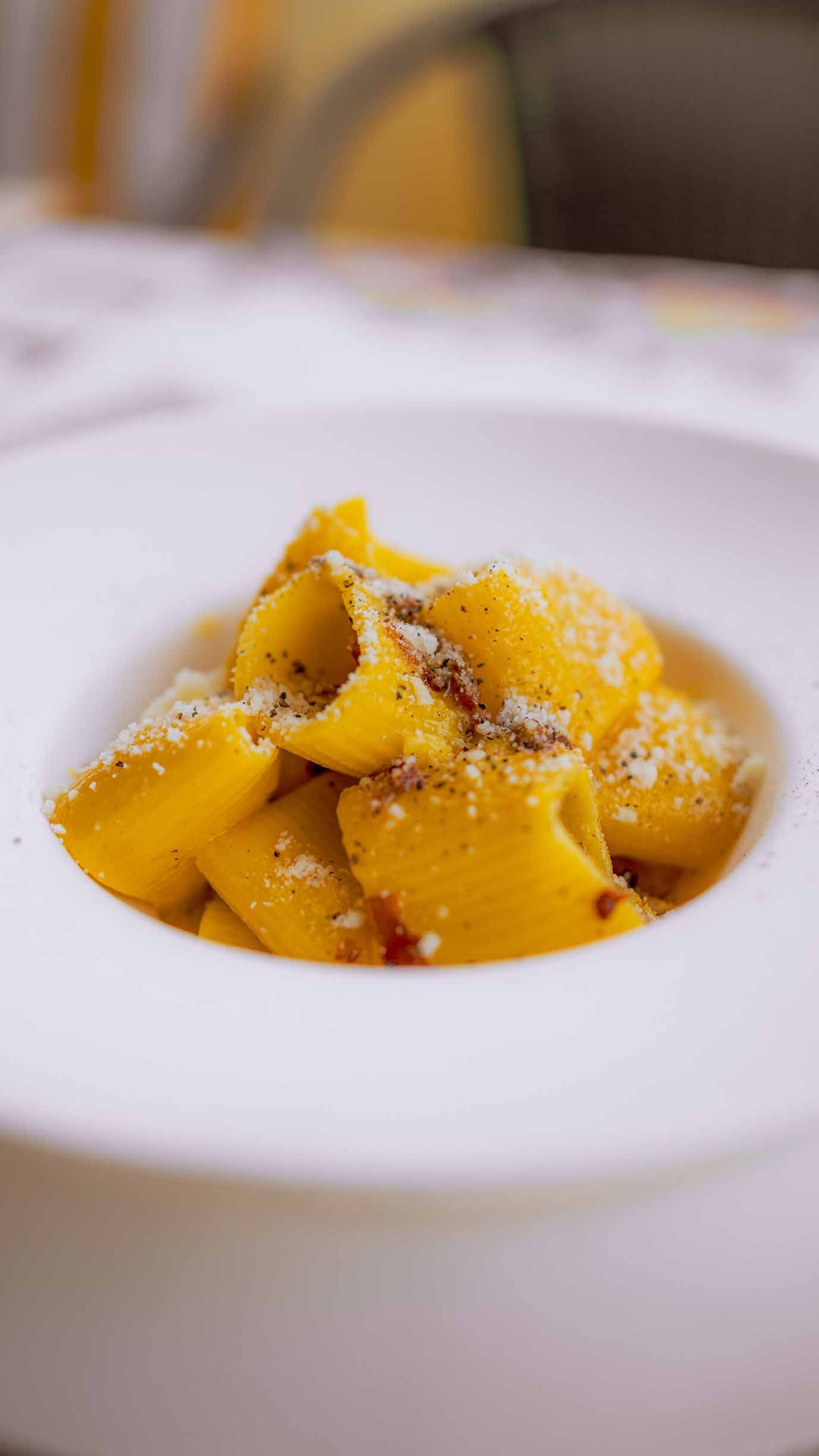 Primo piatto di carbonara con mezze maniche scattato dal videomaker mirko paoloni