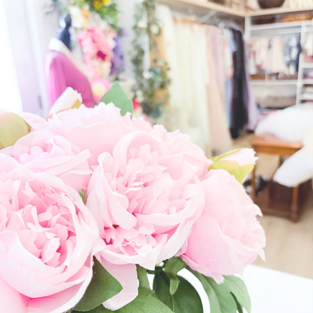 A row of pink garden roses with delicate layered petals blooming in soft natural light.