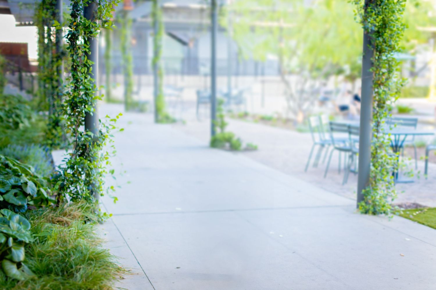 picture of a pathway with greenery on both sides urban. The Pearl, San Antonio TX