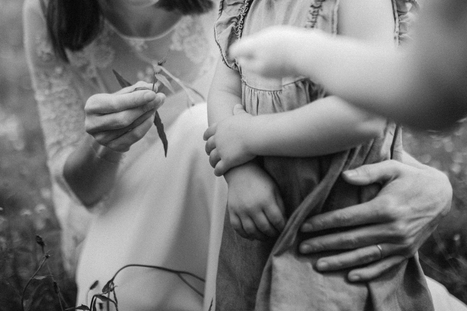 Black and white artistic photograph of hands delicately holding flowers in a garden setting.
