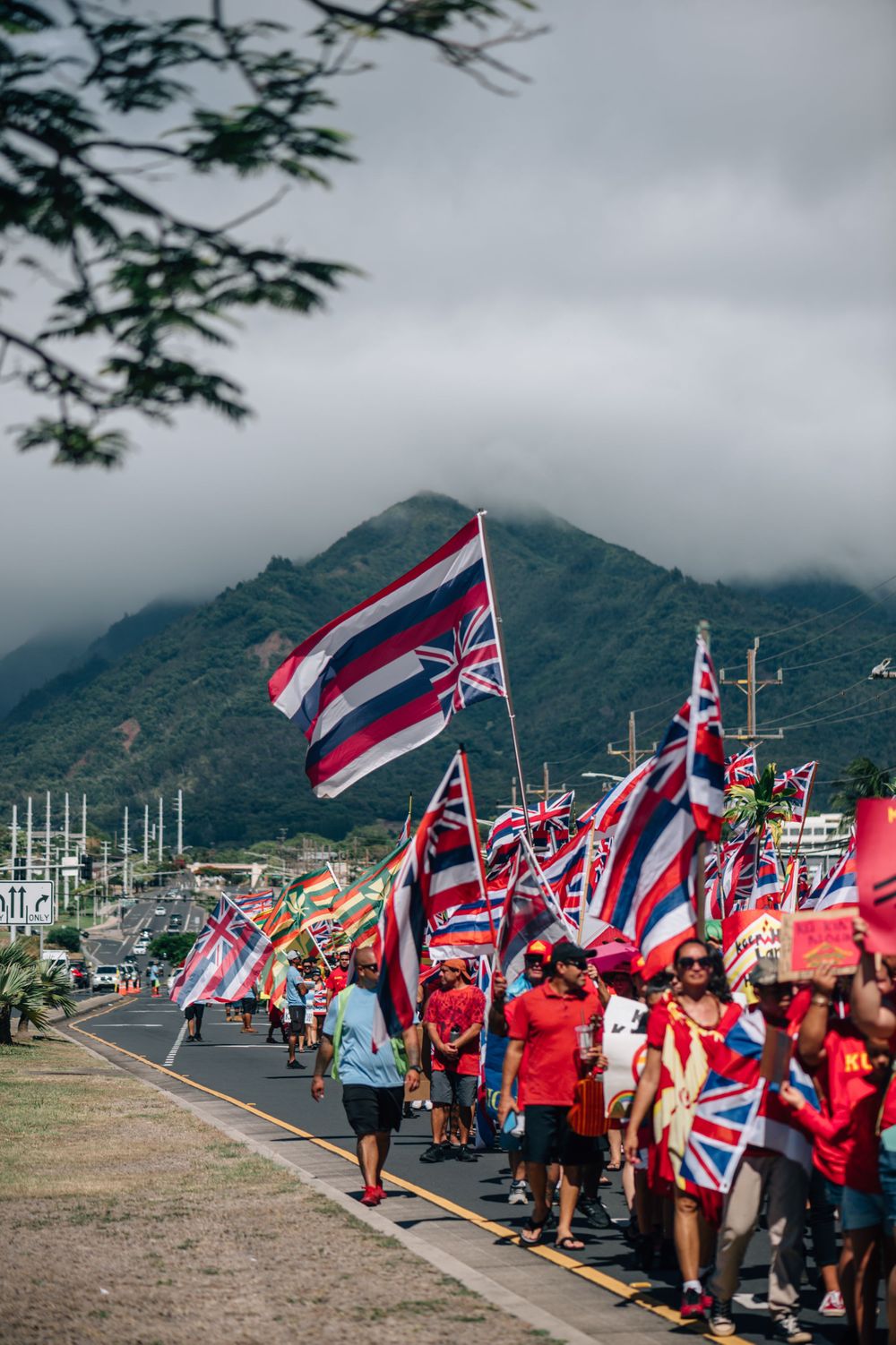 Protesters with Hawaiian flags line mountain road during daytime demonstration.