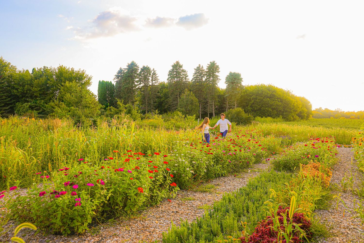 Cute couple frolicking through flower field, natural couple photographer.