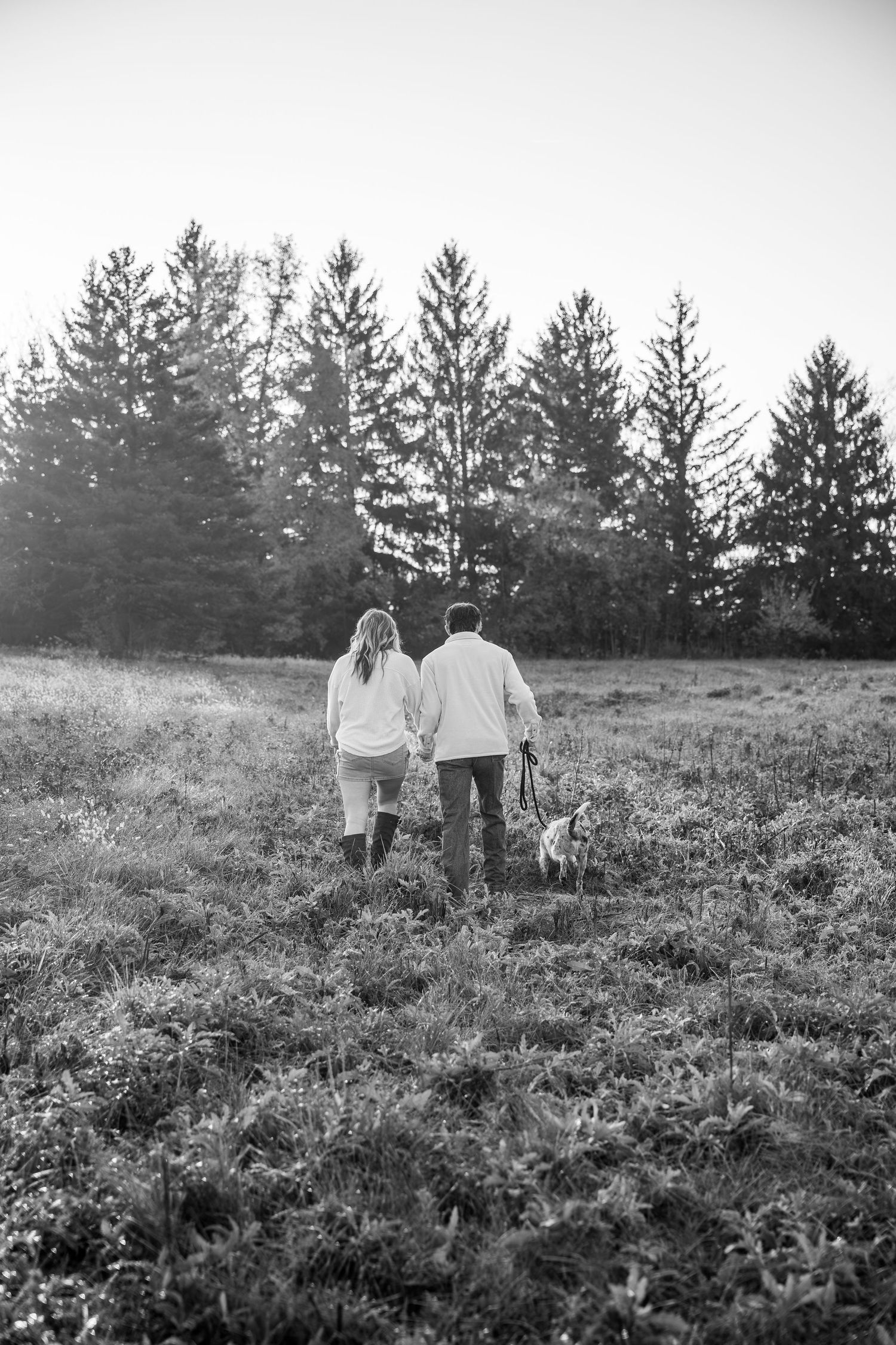 Couple walking with their dog through a misty meadow with evergreen trees in the background in black and white.