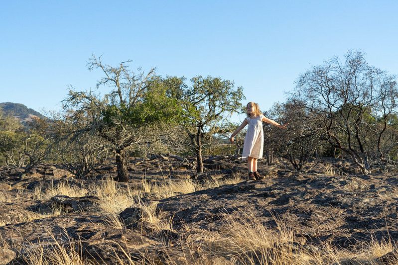 Person in a white dress stands on charred ground among sparse trees in a dry landscape against blue sky.