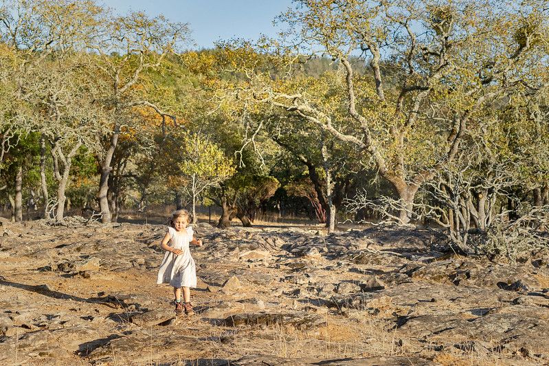 Someone in a white dress walks through a dry rocky landscape with twisted trees in Northern California