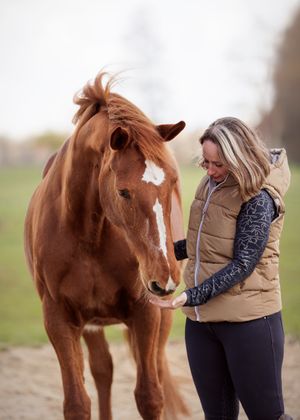Paardenfotografie Twente - LivHoomansPhotography