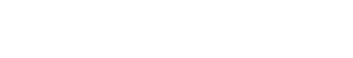 white sunflower divider