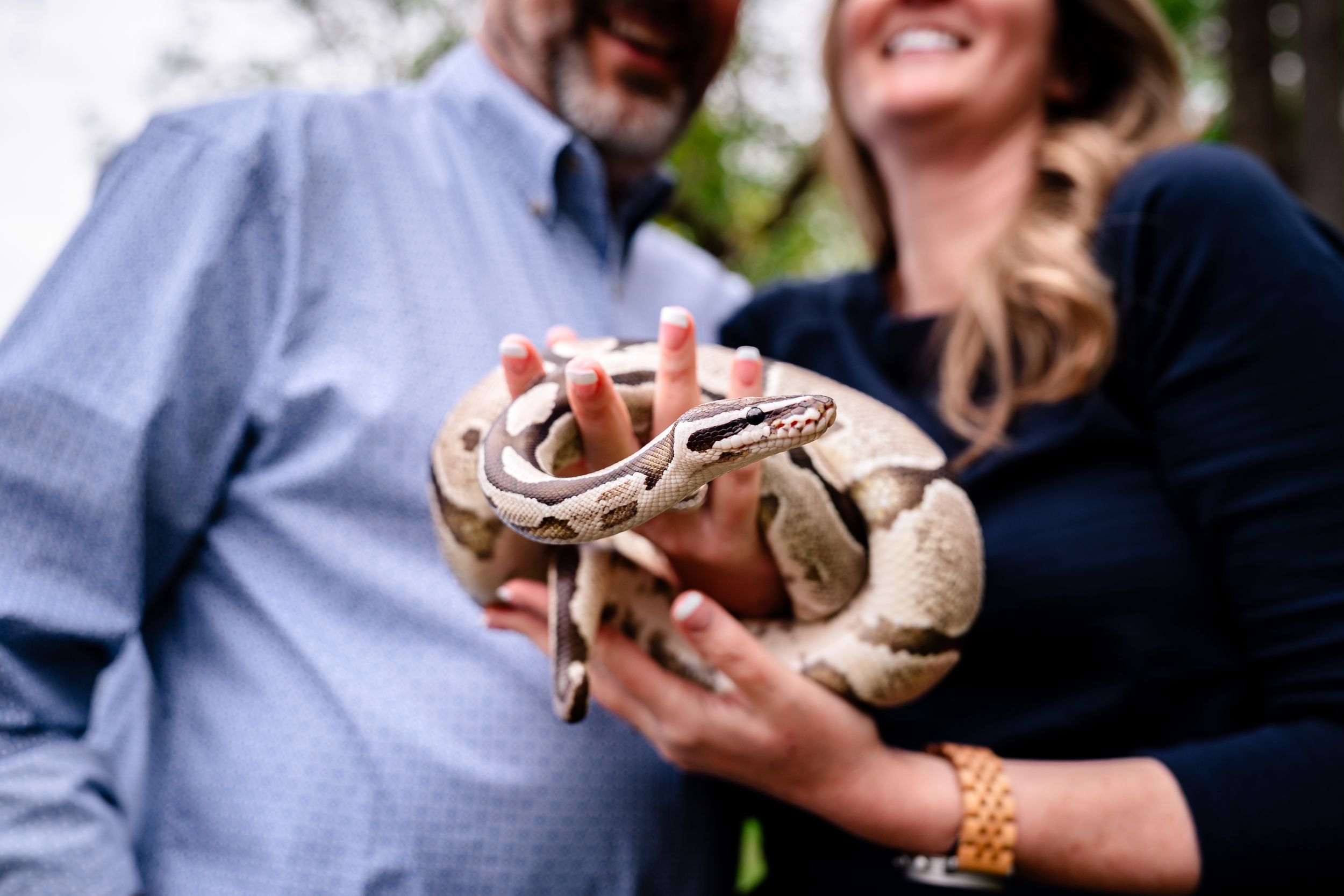 Smiling couple holding a ball python snake together outdoors during an engagement photo session.