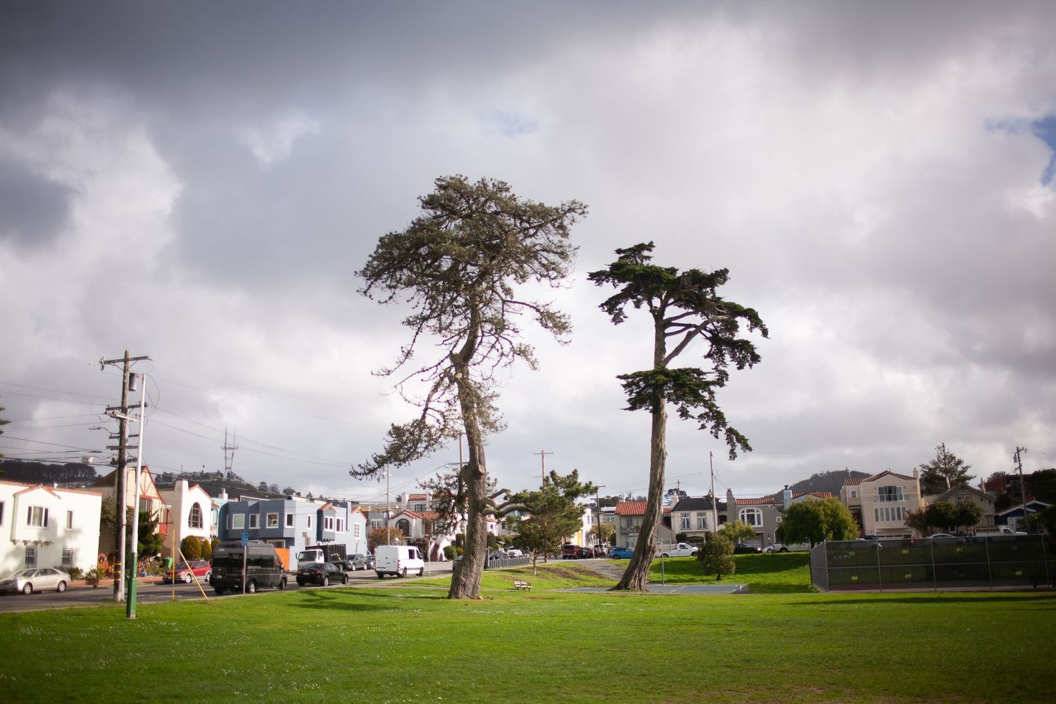 Misty San Francisco park at dusk with tall trees, green lawn, and residential buildings under overcast skies.