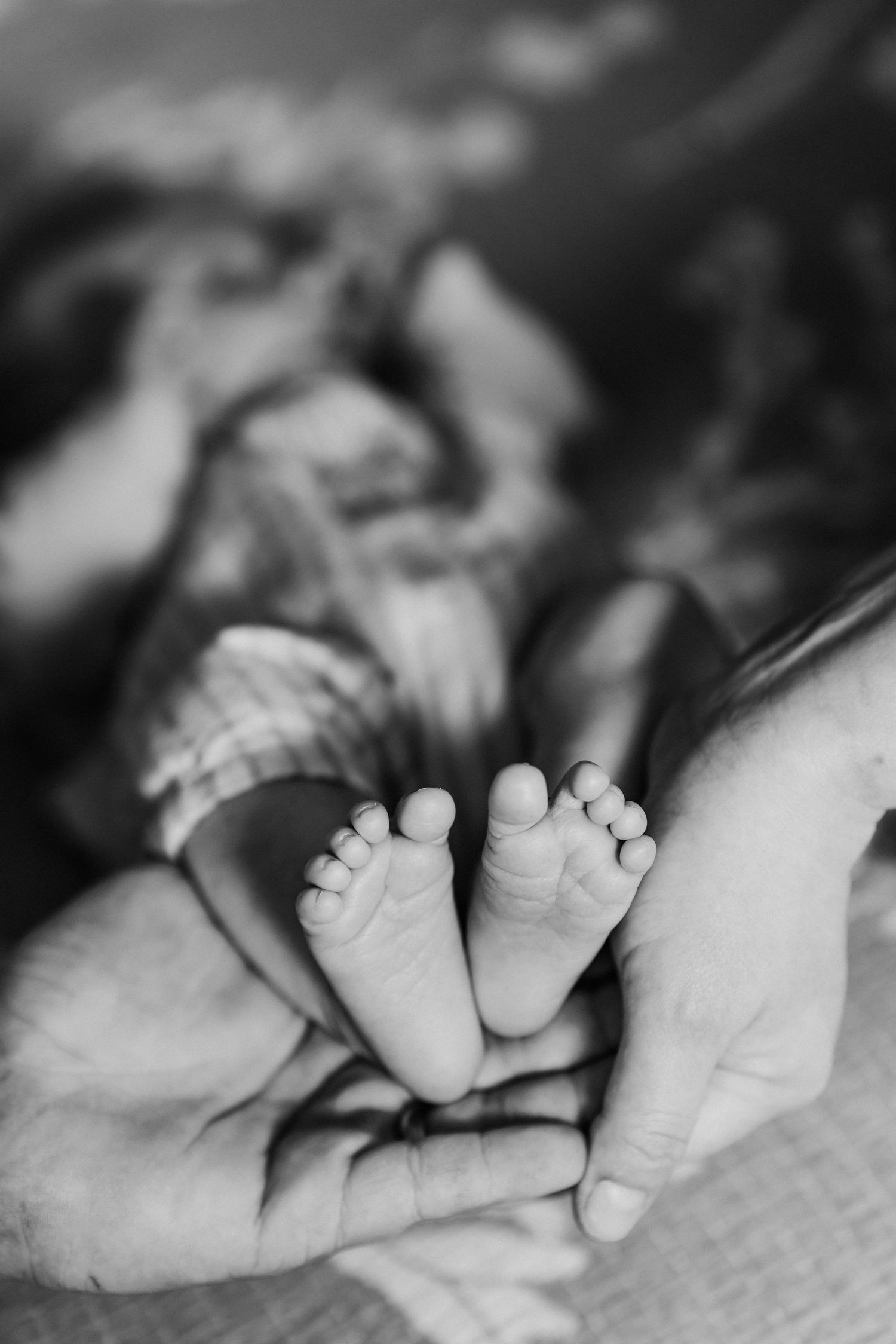 Black and white photo of tiny newborn baby feet cradled gently in adult hands.