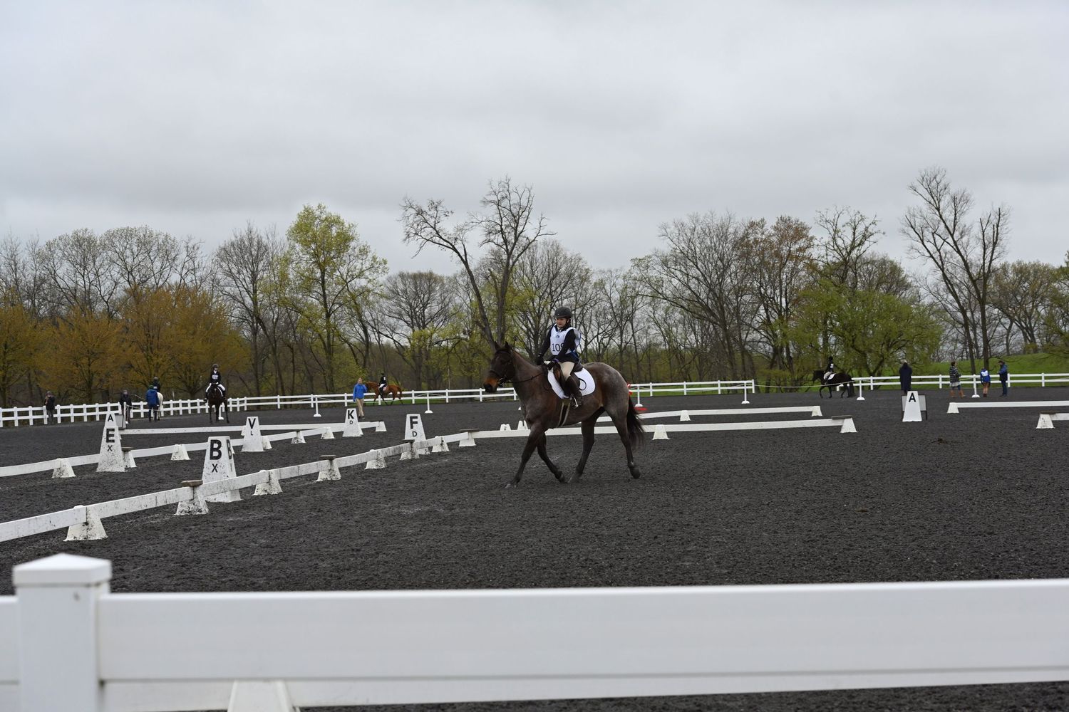 a bay roan horse and rider competing dressage