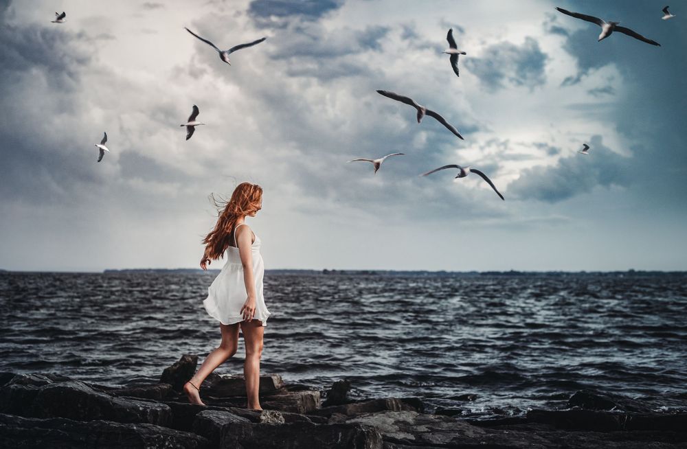 A dreamy coastal scene shows someone in a white dress walking along dark waters as seagulls soar overhead in a cloudy sky.