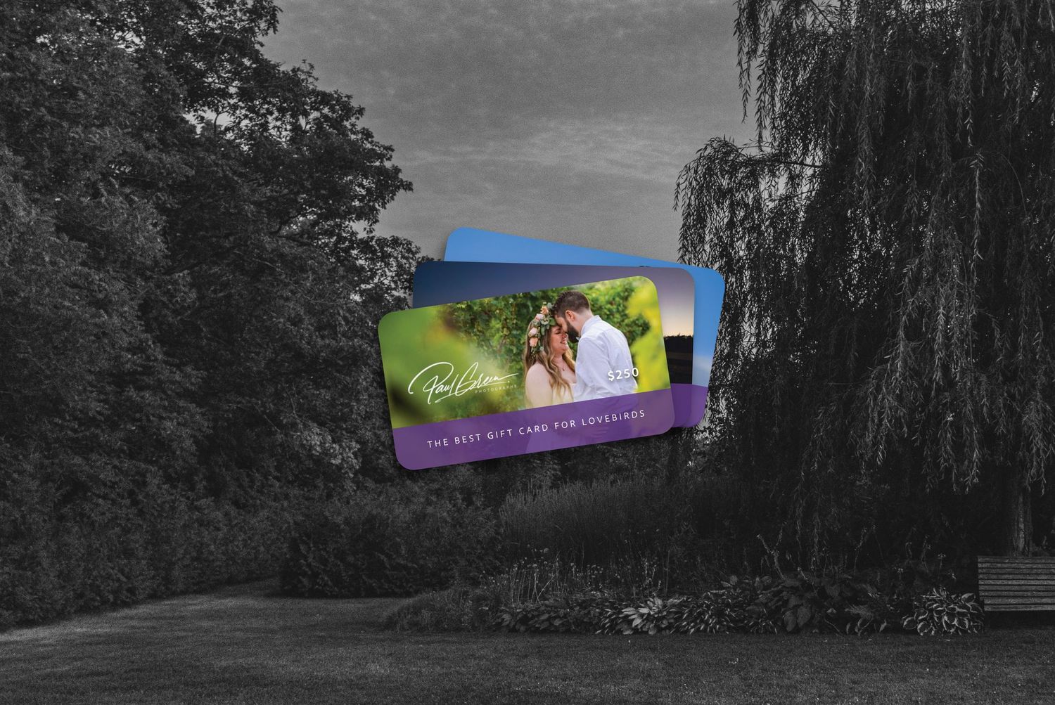 Credit card floating surreally against a black and white nature background with trees and foliage.