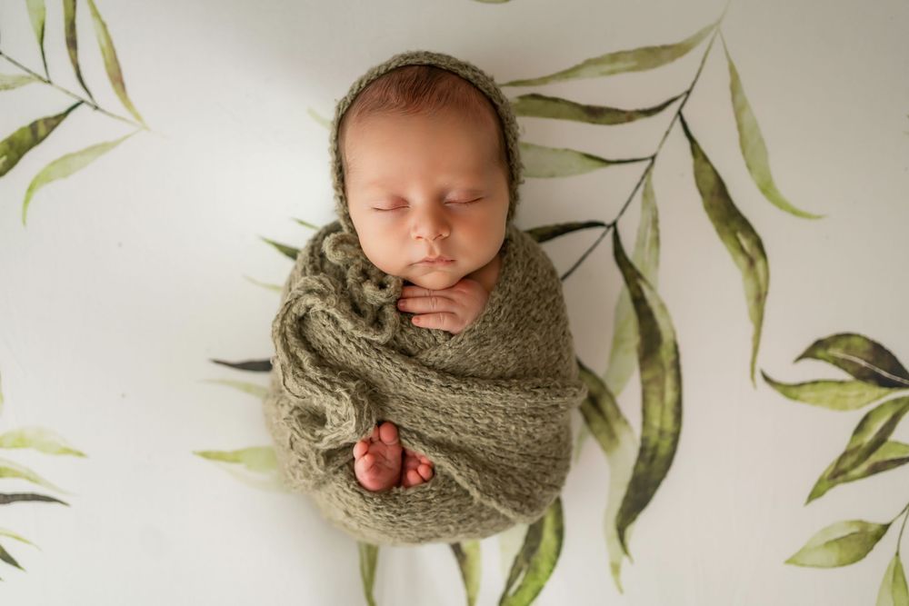 Sleeping newborn in olive wrap surrounded by painted botanical leaves.