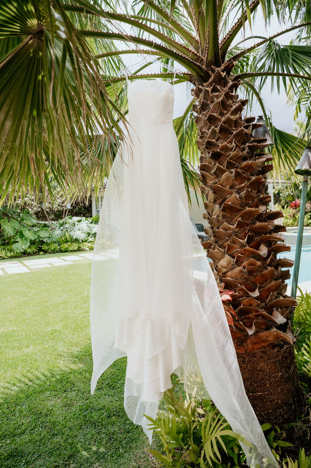A white wedding dress hangs elegantly on a palm tree in a tropical garden setting with a pool in the background.