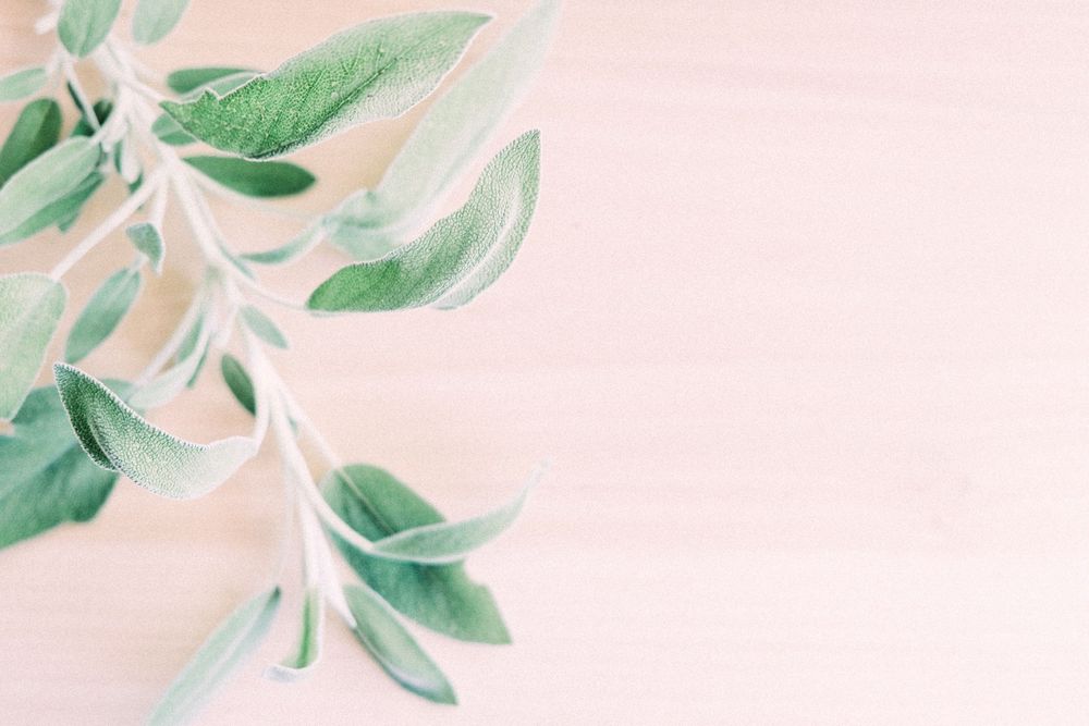 Minimal product photography styled with soft natural light