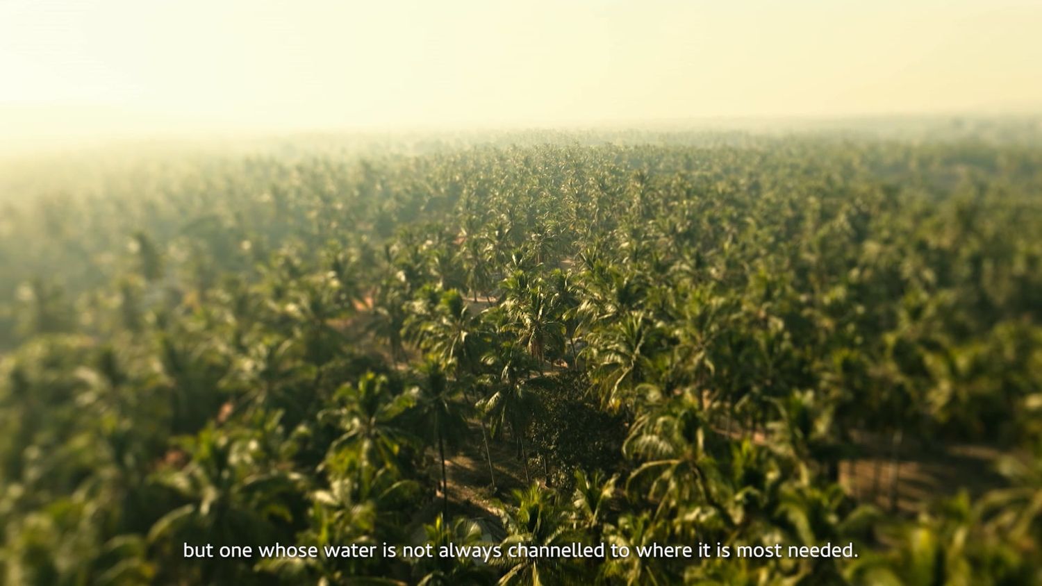 Plantations in Tanzania. Water plant manager in Tanzania.