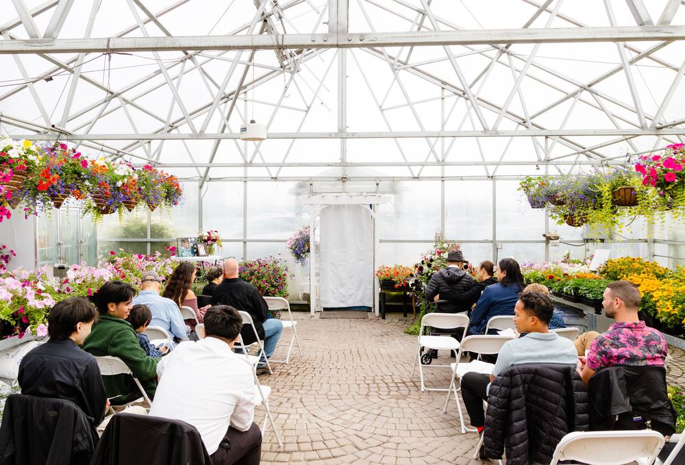 A wedding ceremony setup inside a greenhouse with hanging flower baskets and rows of white chairs.