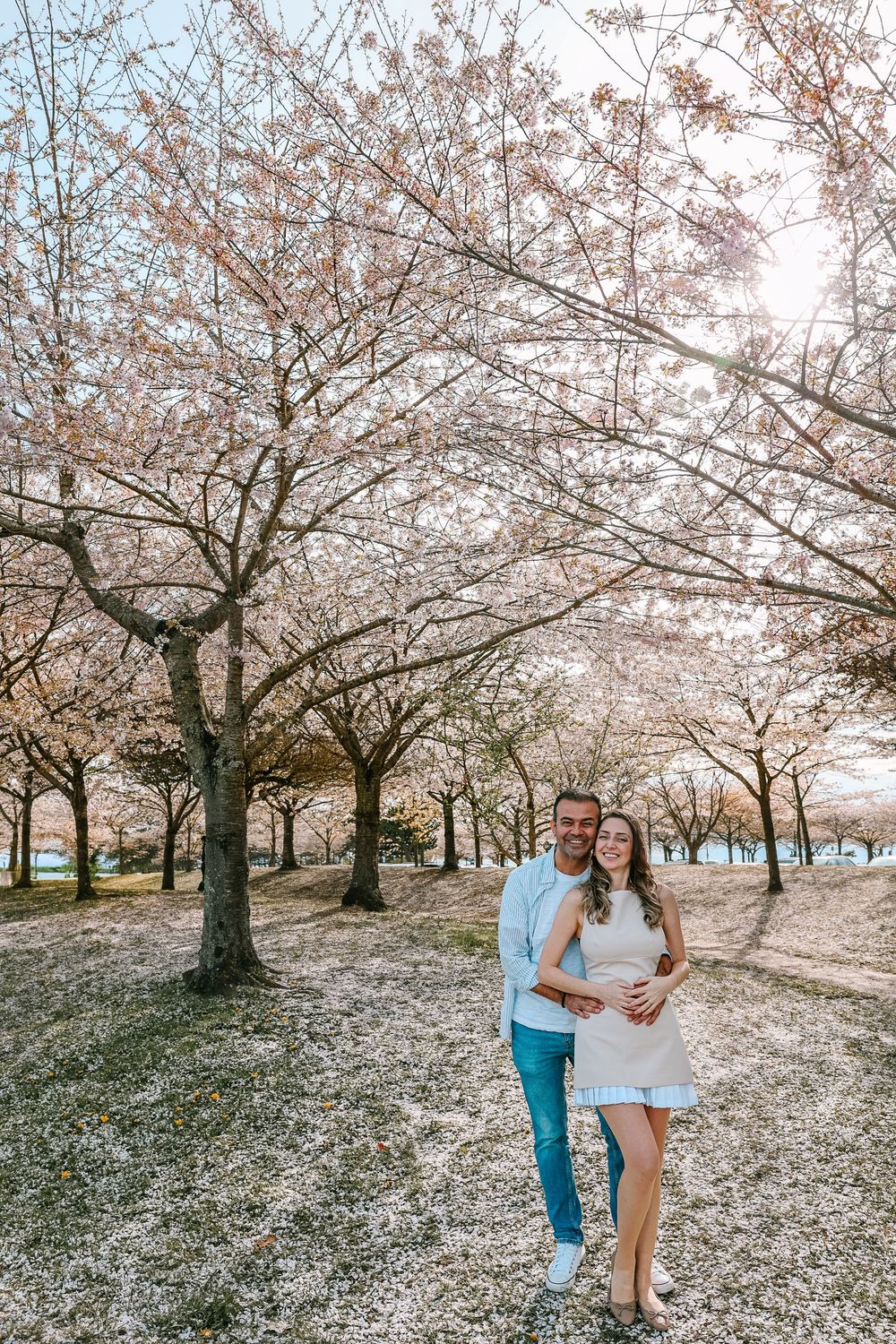 Vancouver wedding photography with cherry blossoms in bloom