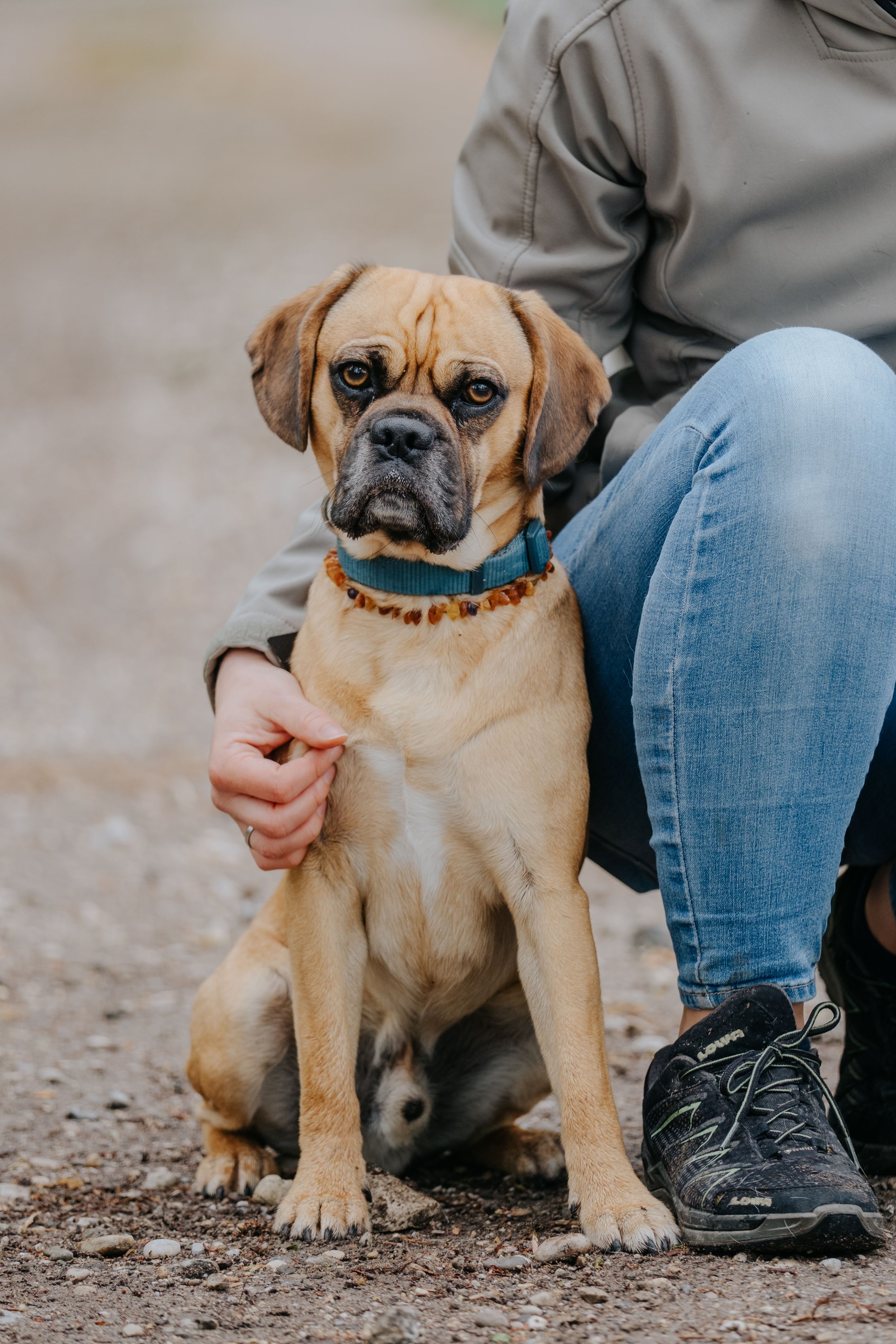 Mensch-Hund-Fotografie: Hund sitzt ruhig neben einer Person im Freien, eingefangen in natürlicher Umgebung.