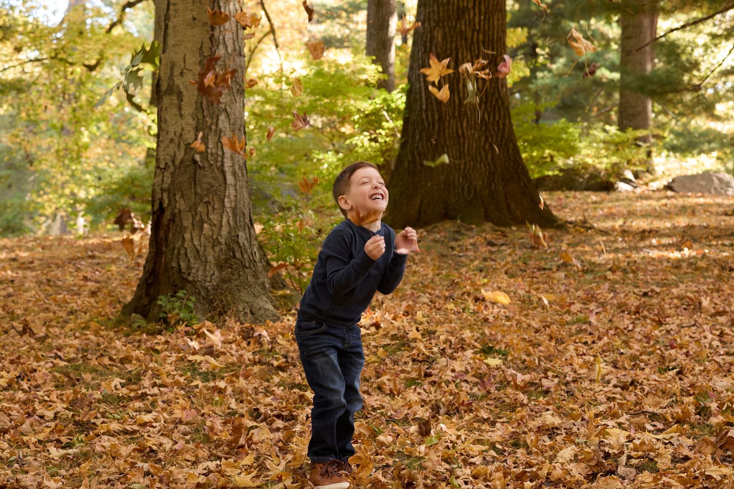 Two people embrace under tall autumn trees as golden leaves scatter around them in a sunlit forest.