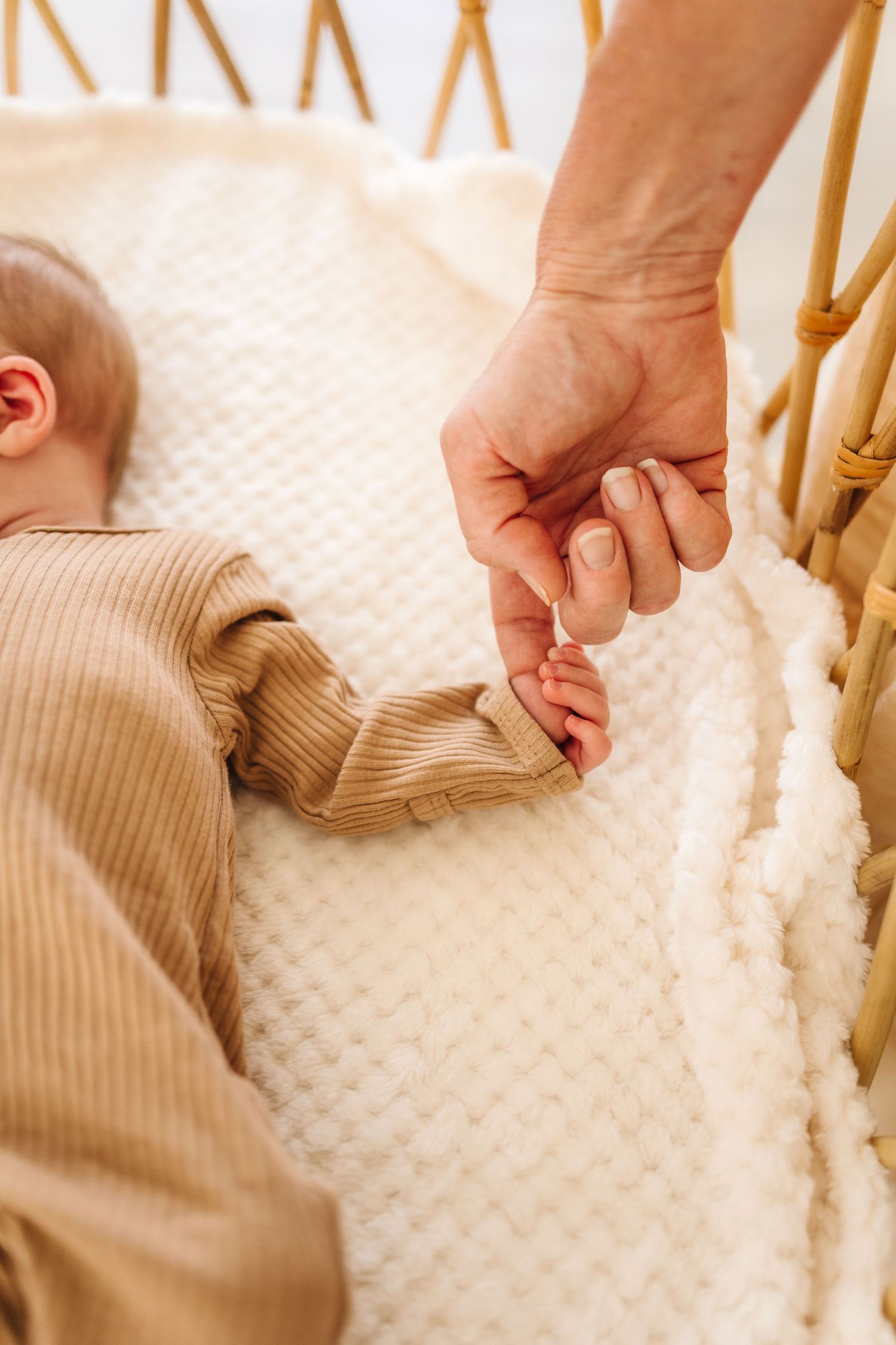 newborn photographer utah