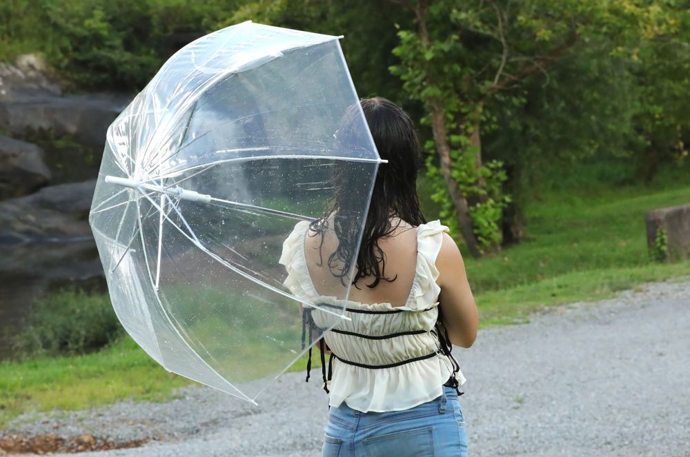 A transparent umbrella is held against a backdrop of waterfalls and greenery.