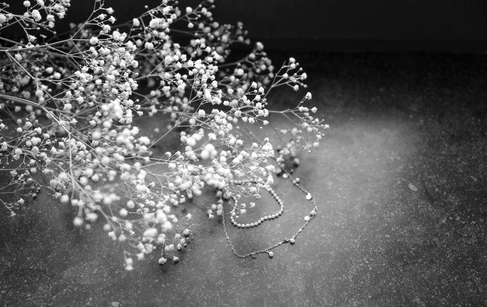 Abstract black and white image of delicate floral patterns.