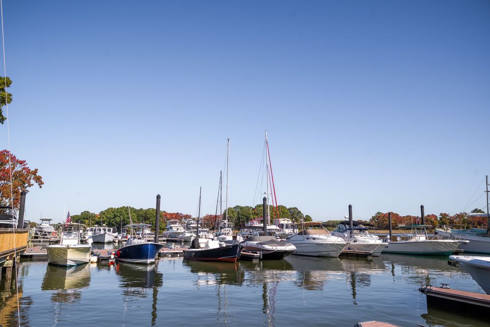 Marina with sailboats and yachts docked on calm water under clear blue sky.