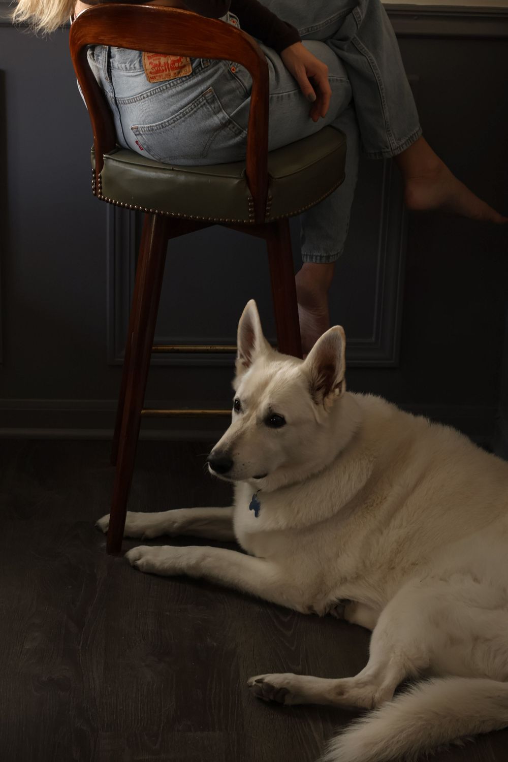A white dog lying on the floor next to a wooden chair in a dimly lit room.