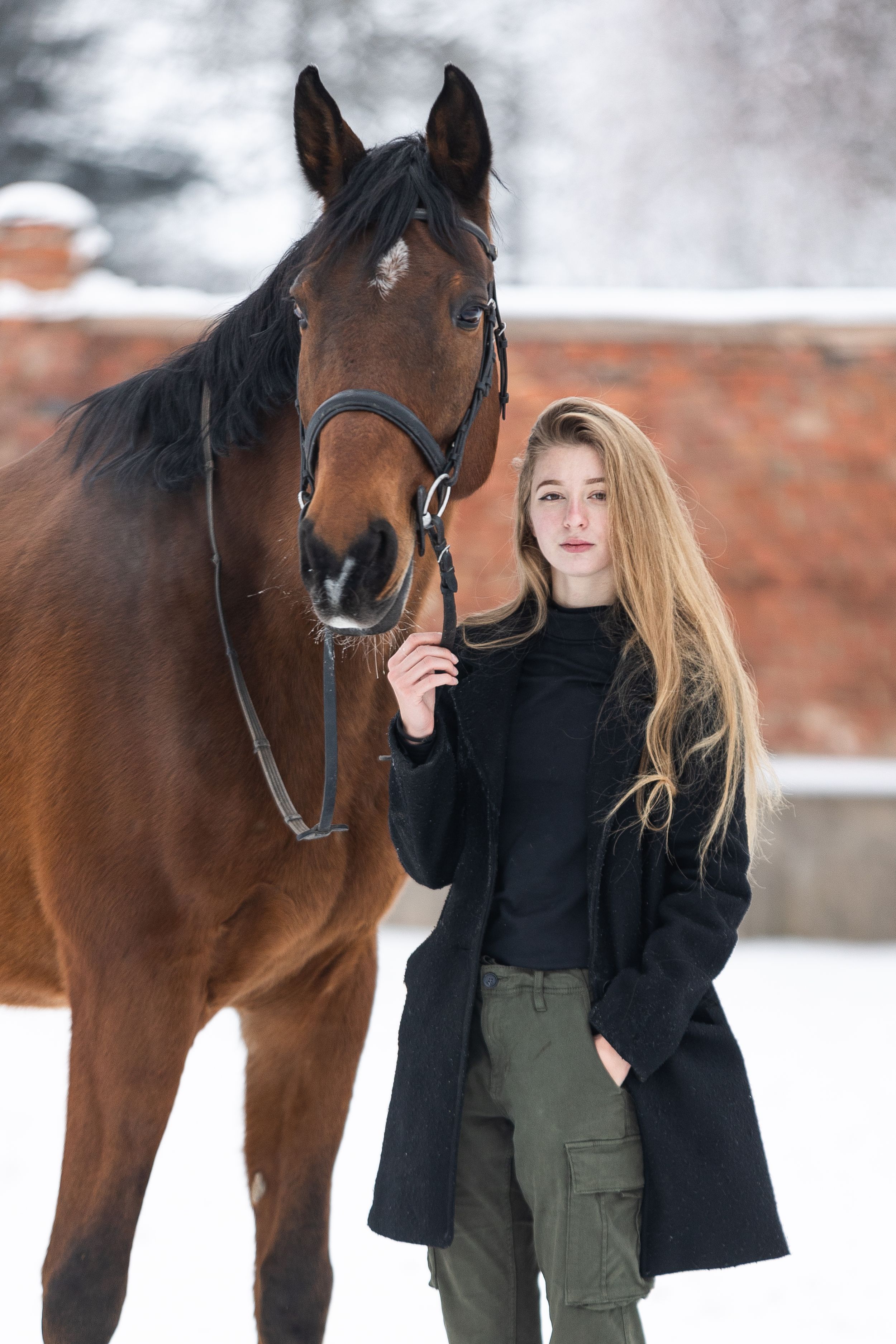 A bay horse and someone in winter clothing standing in snowy weather.