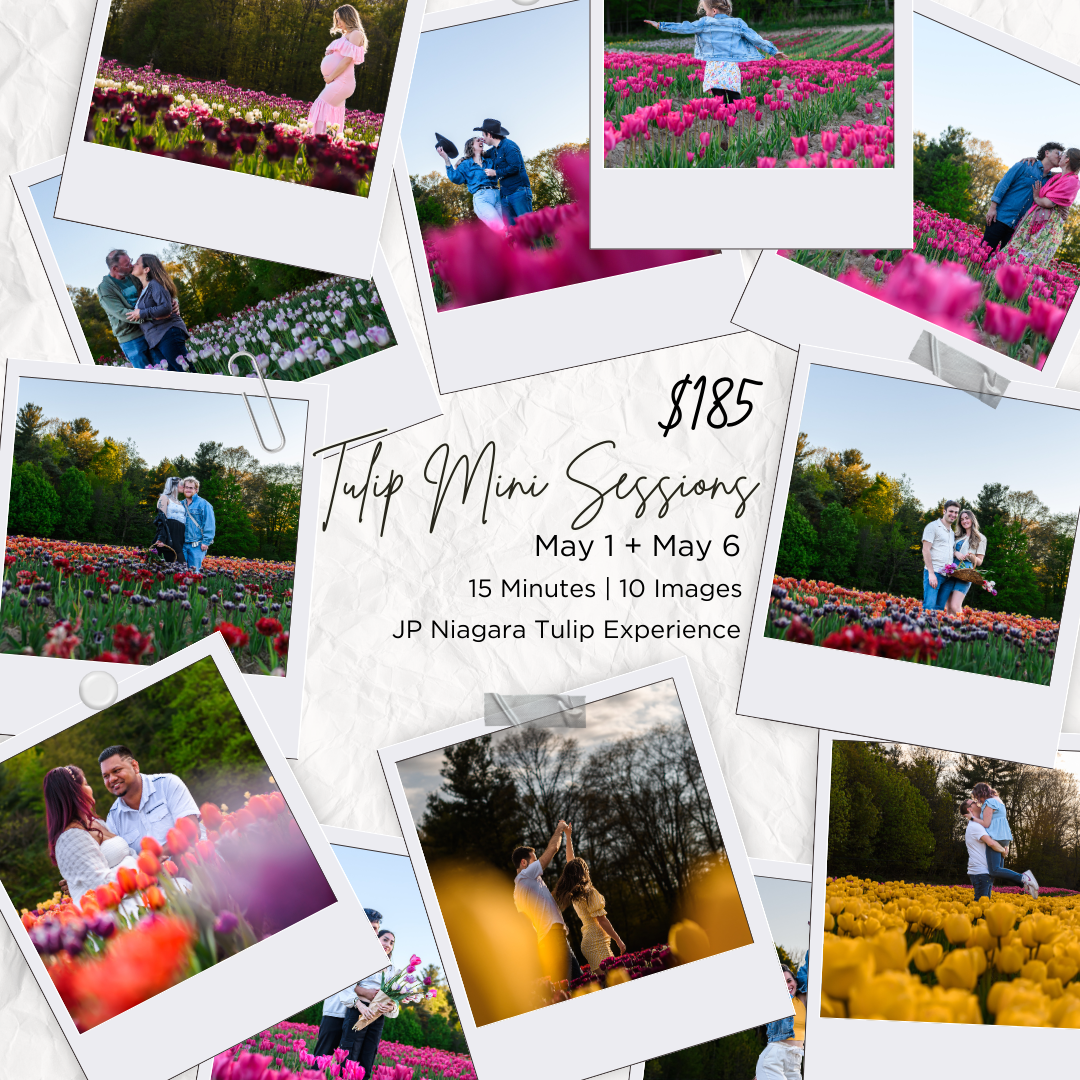 A collage of photos featuring couples in a vibrant tulip field, promoting sunset tulip mini photo sessions on May 1 & May 6 for $185.