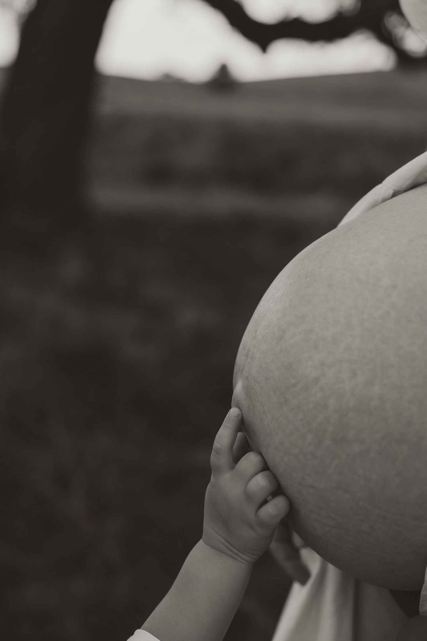 maternity photography session