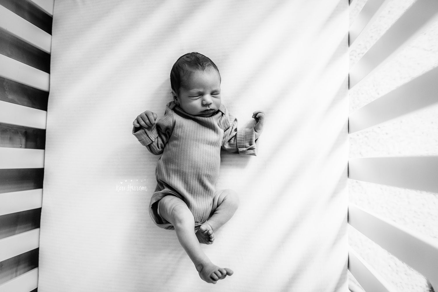 South Lyon Michigan Family Photographer
