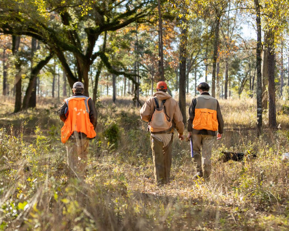 Lifestyle: Rio Piedra, Quail Hunt