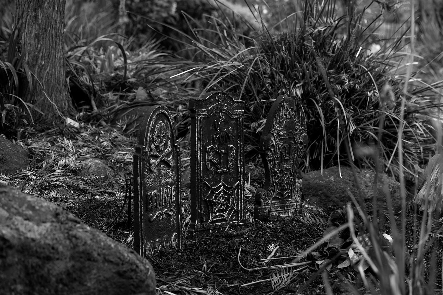Kat and Alex's Lake Eppalock Halloween Wedding captured in B + W  by Jason Robins, 2025 NZIPP Australian Wedding Photographer of the Year.