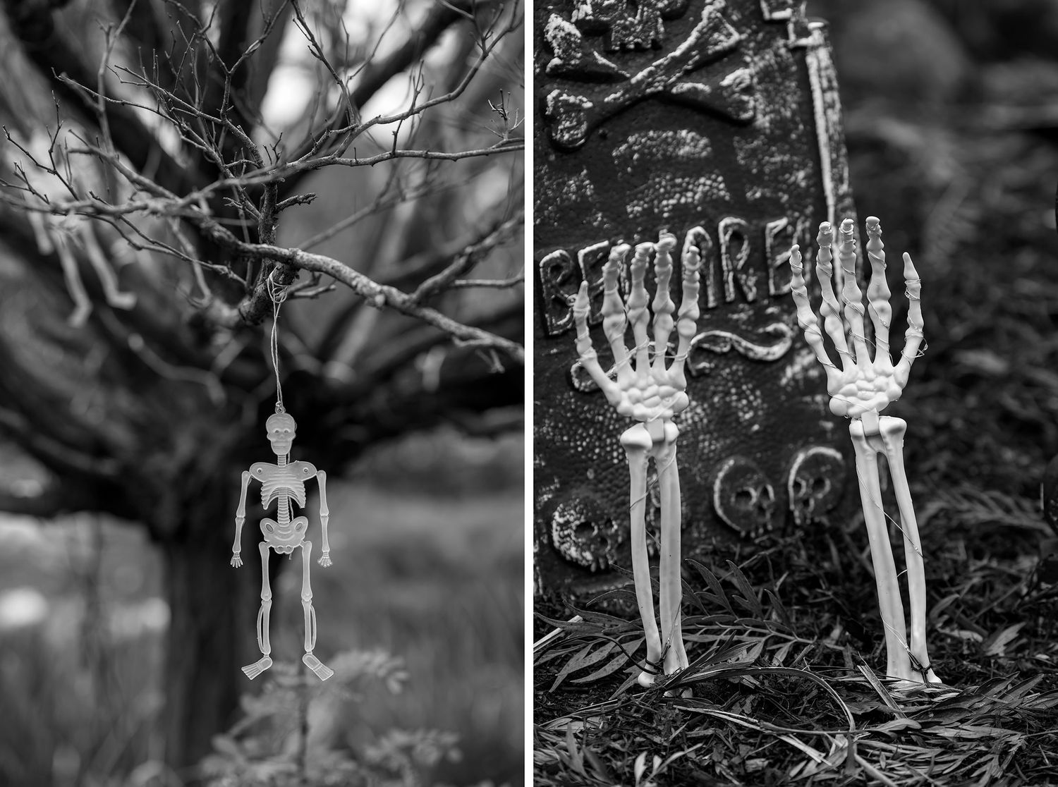 Kat and Alex's Lake Eppalock Halloween Wedding captured in B + W  by Jason Robins, 2025 NZIPP Australian Wedding Photographer of the Year.