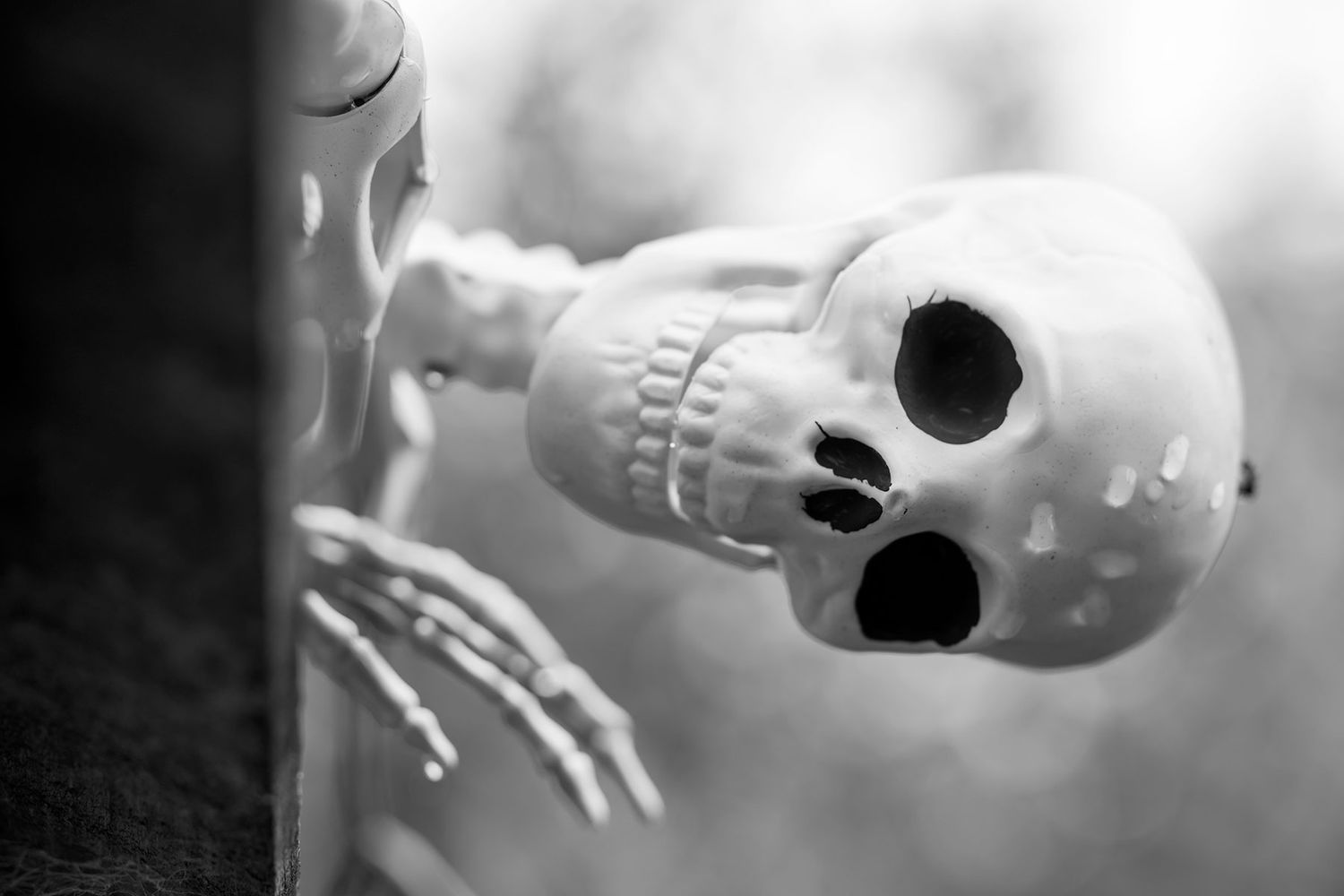 Kat and Alex's Lake Eppalock Halloween Wedding captured in B + W  by Jason Robins, 2025 NZIPP Australian Wedding Photographer of the Year.