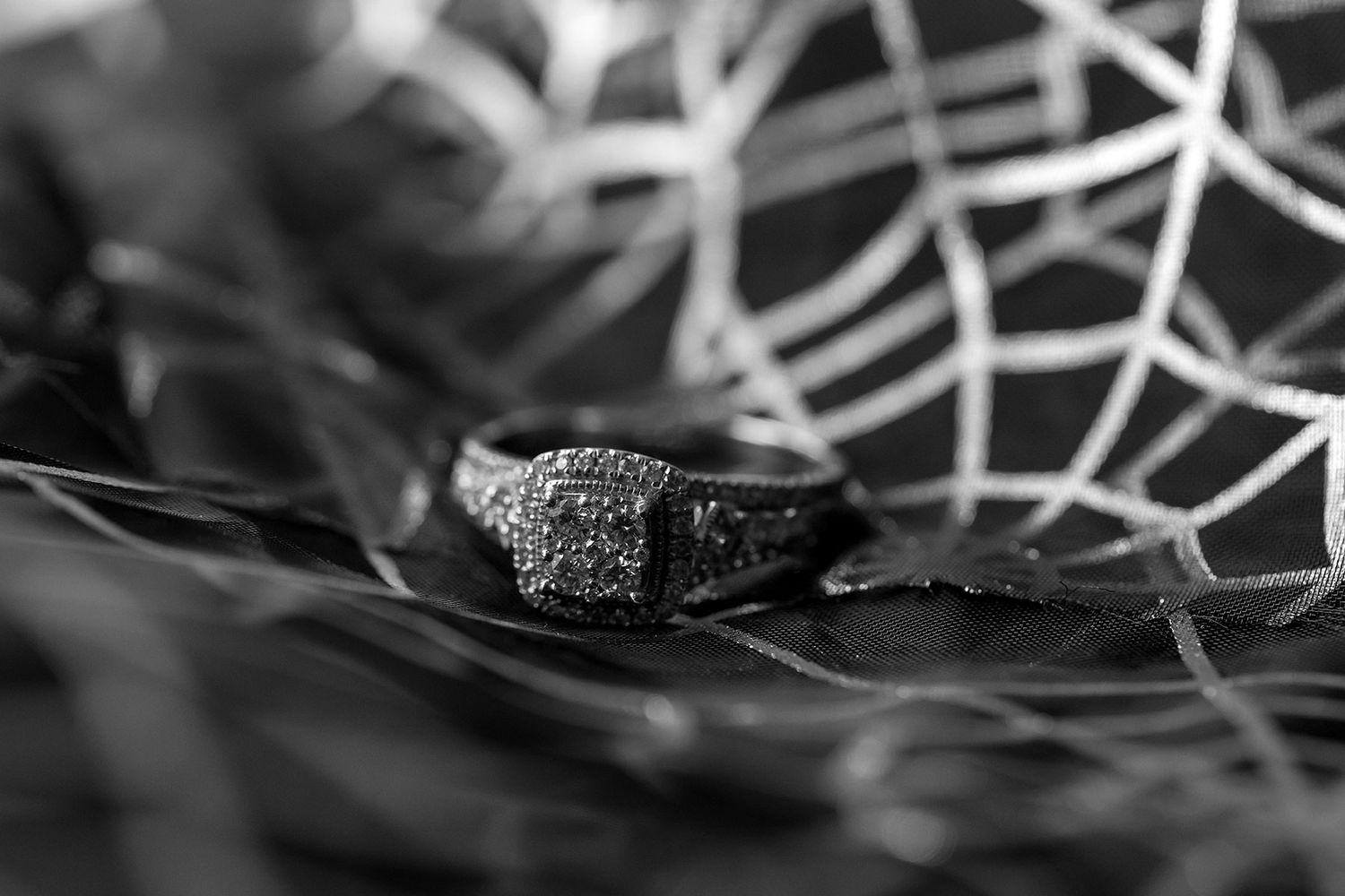 Kat and Alex's Lake Eppalock Halloween Wedding captured in B + W  by Jason Robins, 2025 NZIPP Australian Wedding Photographer of the Year.