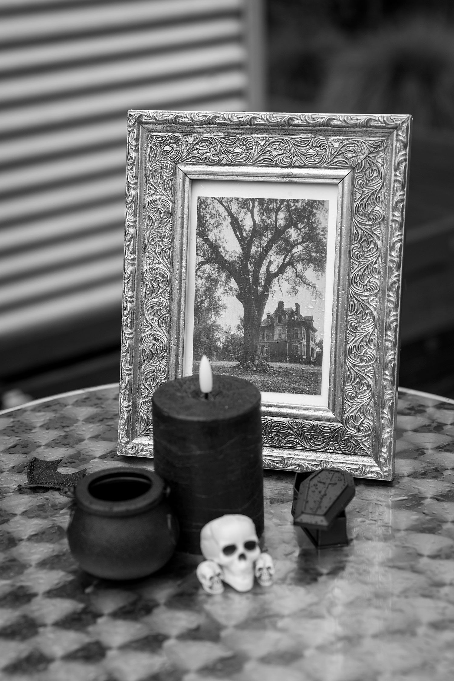 Kat and Alex's Lake Eppalock Halloween Wedding captured in B + W  by Jason Robins, 2025 NZIPP Australian Wedding Photographer of the Year.