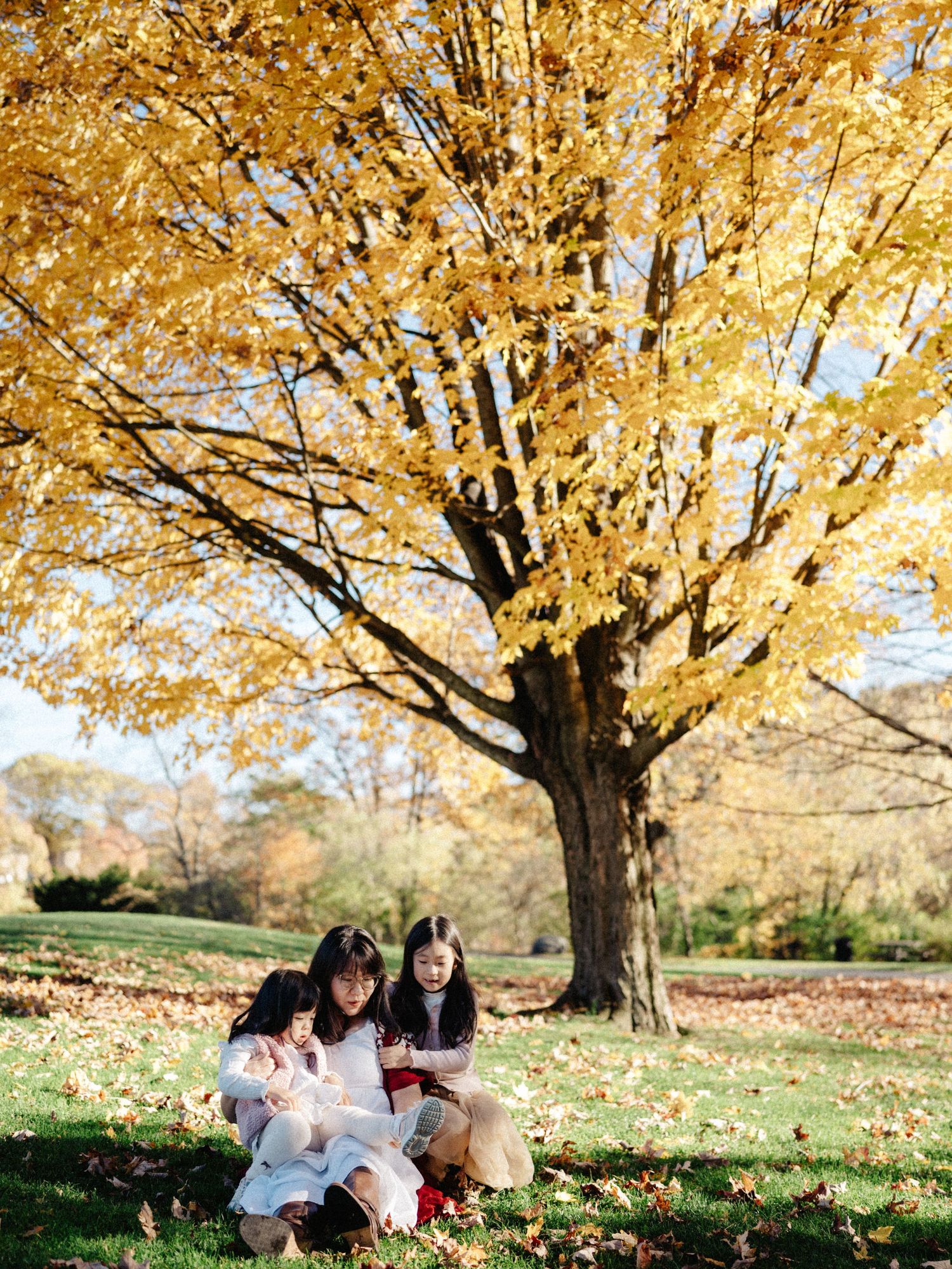Family enjoying a fall afternoon under golden maple trees on a grassy hill in the Larz Anderson Park in Brookline, MA.