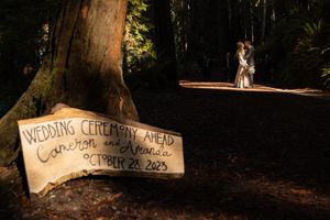 Bridal portraits in the California Redwoods after their Adventure Elopement. Adventure Elopement Photographer.