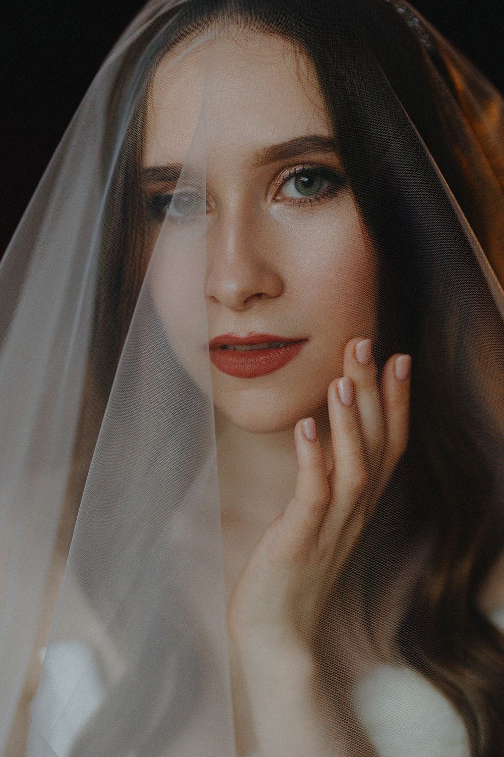 A moody portrait series showing a figure through a veil with dramatic lighting and soft focus effects.