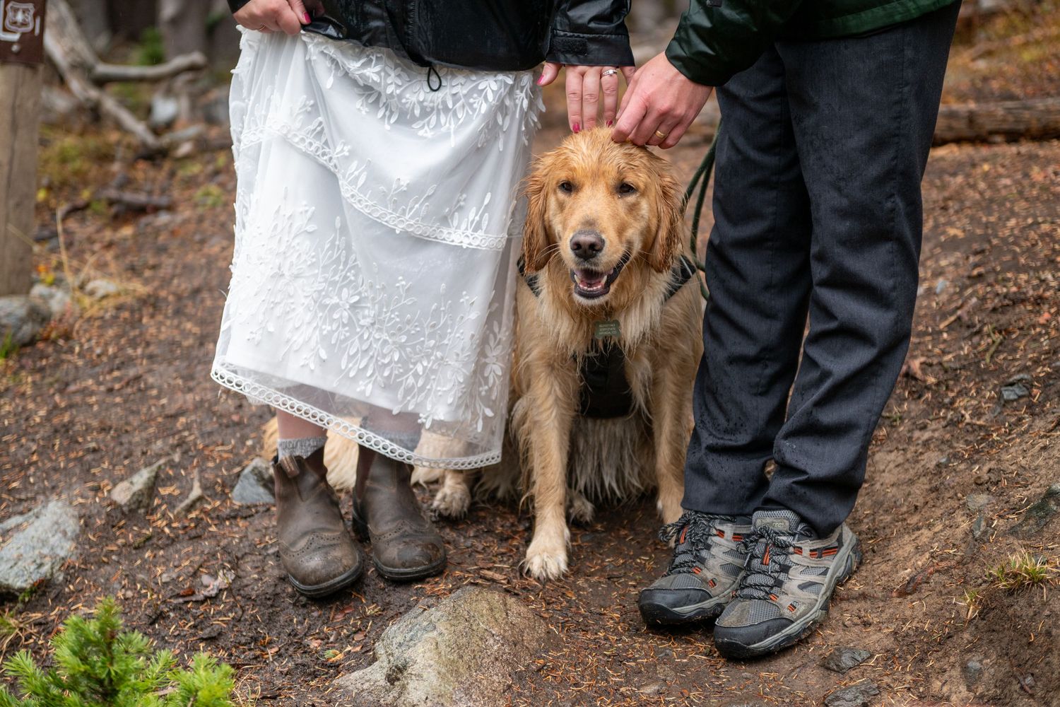 A bride and groom on a hiking elopement stand with their dog between them. The bride is lifting her dress to reveal hiking shoes.