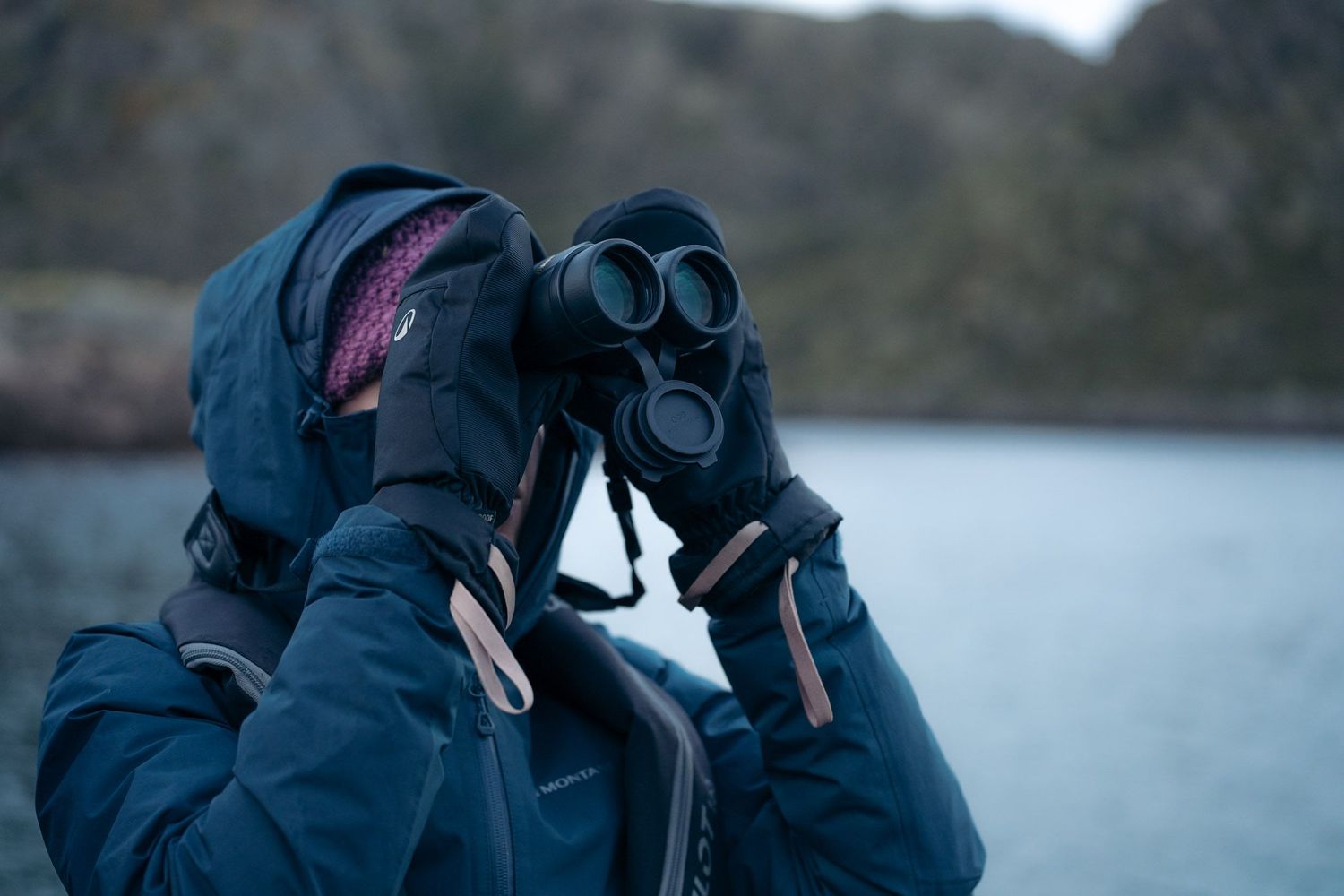 observation aux jumelles d'oiseaux depuis un zodiac dans l'archipel de skrova