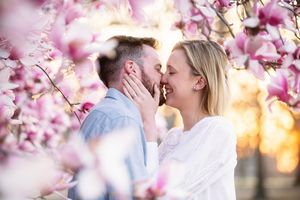 A romantic couple shares a tender moment among blooming pink cherry blossoms at sunset.