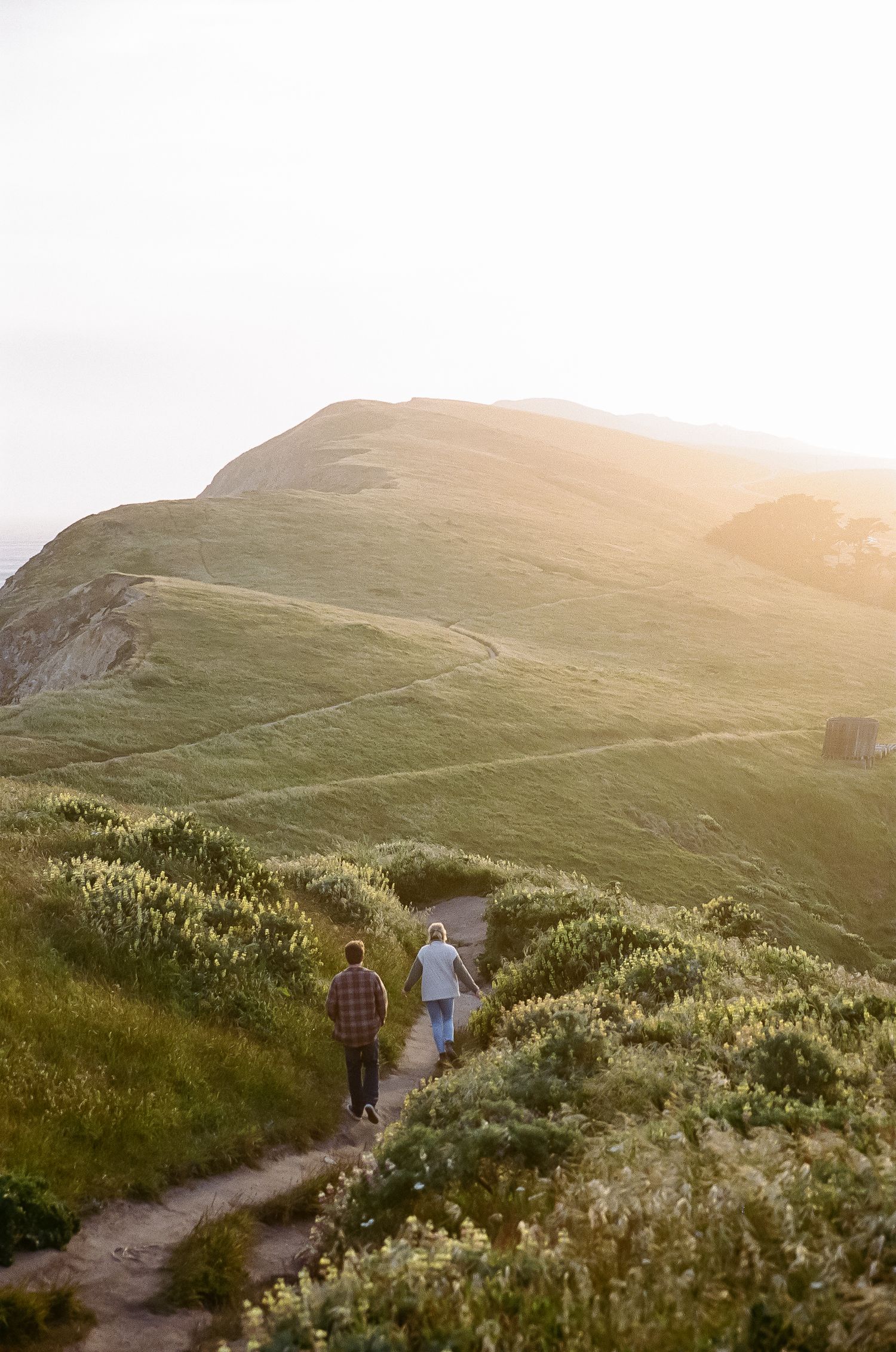 A couple walks along a scenic coastal trail through wildflowers at sunset.