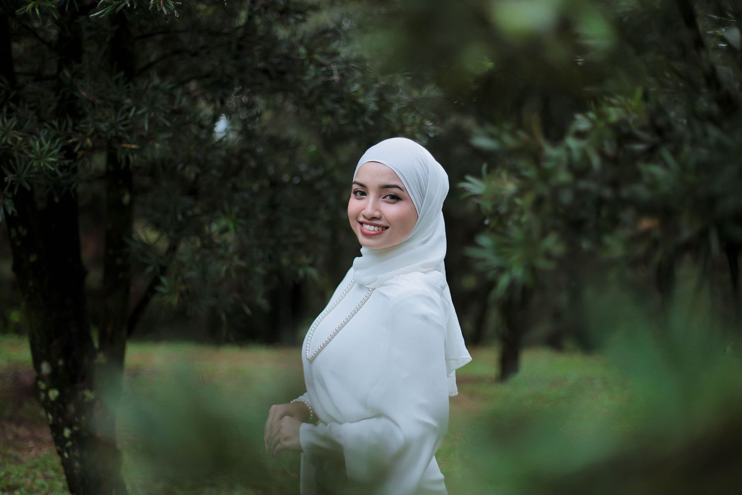 portrait-johor-sg