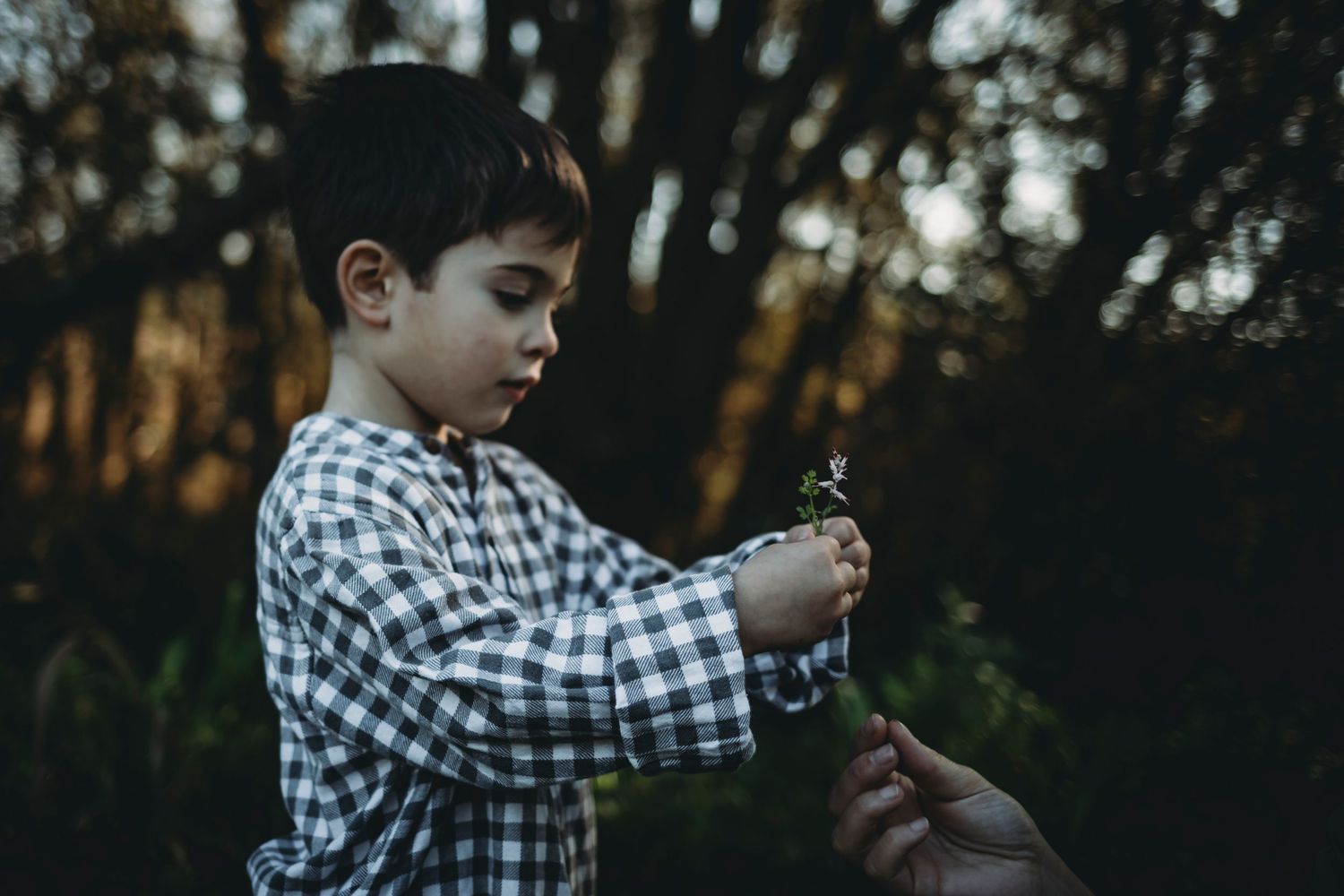 filho dá uma flor para a mãe  em sessão fotográfica de família na natureza em Portugal Caldas da Rainha